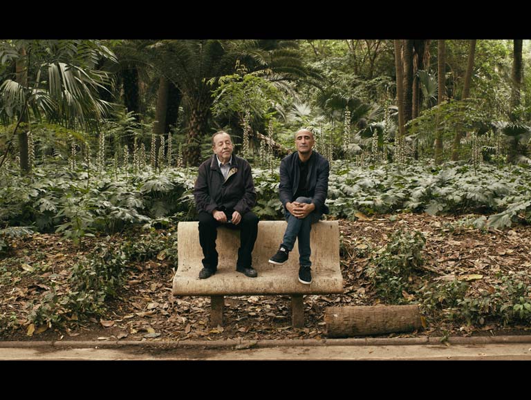 Alea Jacarandas by Hassen Ferhani