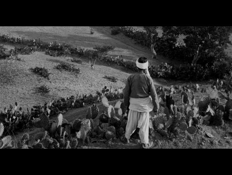 Gaza: A People's History by Tamara Erde